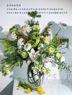 ��ˬ���ܾG�~�Ӱ׾G�~ϵϵ��Yɭ���S�Y�����n�ٴ��û�c��ɫ