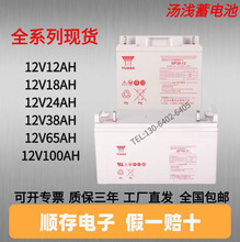 汤浅蓄电池NP100-12/NP38-12/NP24-12/12V100AH/38/24安时UPS专用