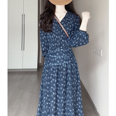 浪漫氛围感V领碎花收腰连衣裙女秋设计感内搭长裙小众长袖裙子 潮