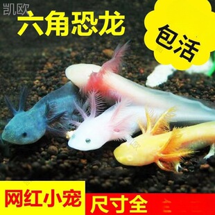 ���ǿ����~ϔ��ԁ�ˮ���B���B�ͻ��^�p�~С���~���~�B���������~