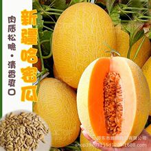 �½��SƤ�W�y���ܹϷN���ļ���ˮ�����۹�����������̨�߲˷N��