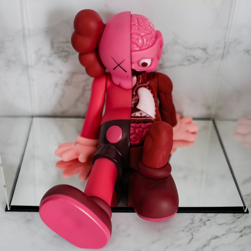 坐姿半解剖23cm-红色
