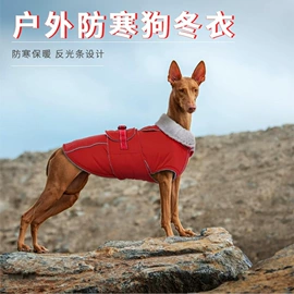 护腰;运动护膝;形体矫正器