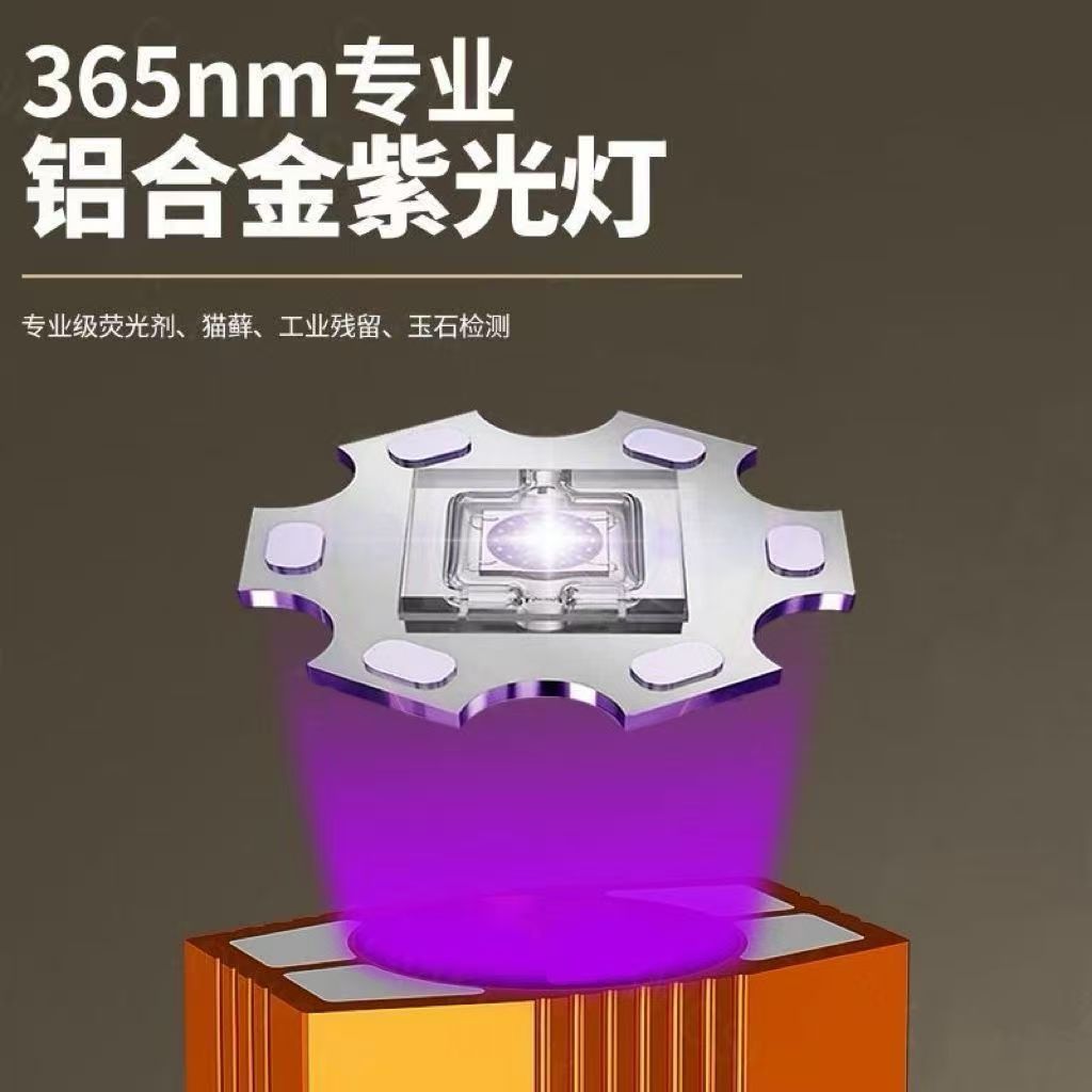 微信图片_20260322135443_408_50