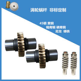 专业涡轮蜗杆加工，定 做优质蜗杆多头蜗杆高速蜗杆蜗轮定 制