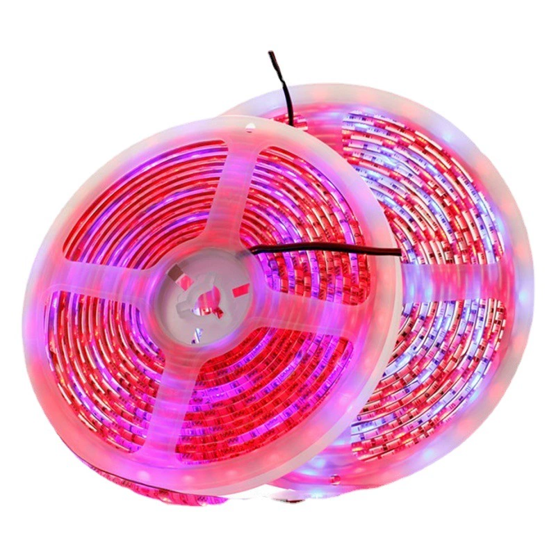 Светодиодный светильник с низким напряжением 12 В Водонепроницаемый 5050 рост растений мясо мягкий свет бар заполняющий свет цветок растительный свет