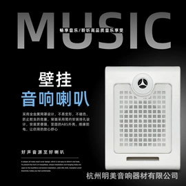 其他音箱;蓝牙音箱;扩音器