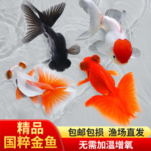 ���~���~���^�p�~�ͻ���BС����ˮ�~�\������ݽ�ˮ����С���~