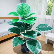 �羳����Gֲ��߅�G�}�~����������Ԙ����Ҿ��b[����������