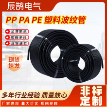 ϲy PEPPyܛ ϩ늾z܇o