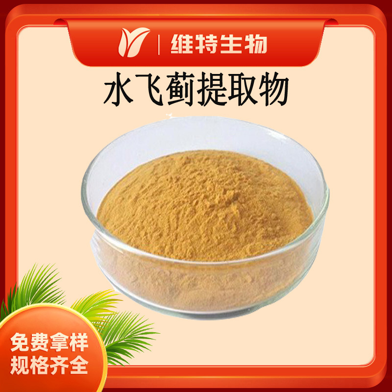 水飞蓟提取物 水飞蓟素80% Milk Thistle Extract