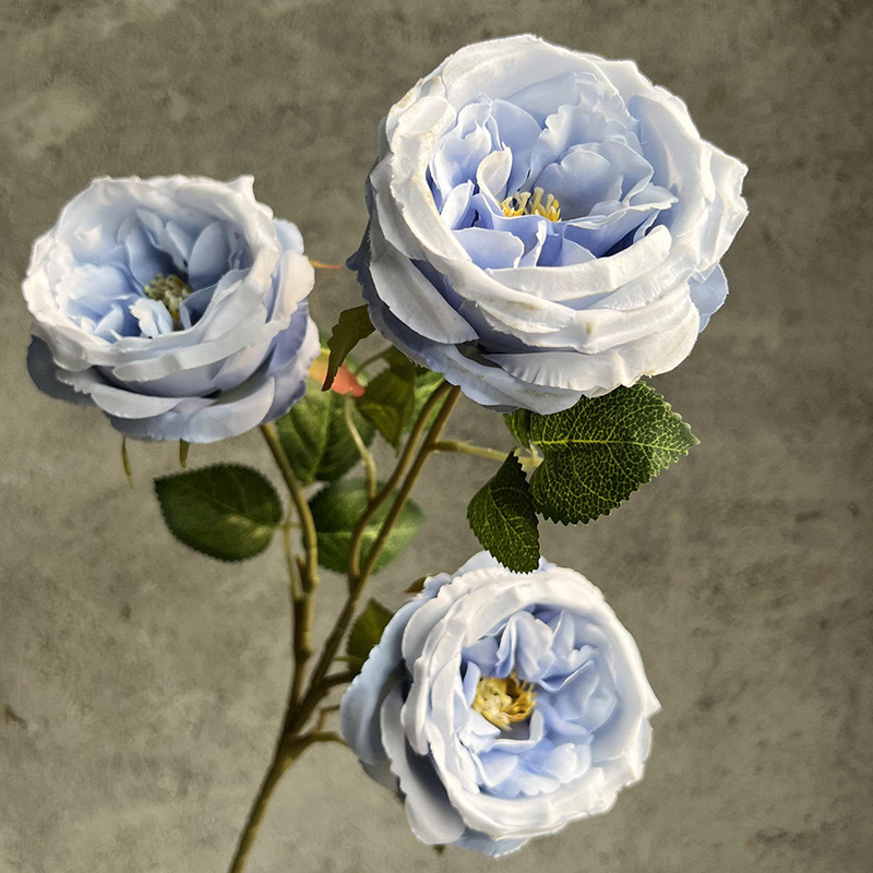 3송이 오스틴 장미 - 블루