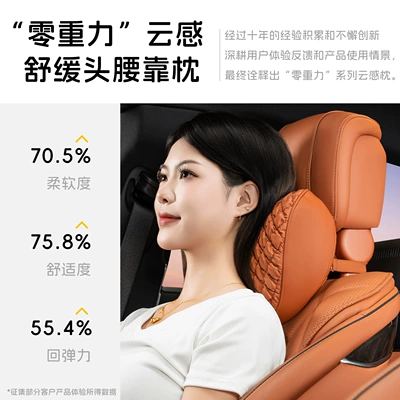 Headrest Support