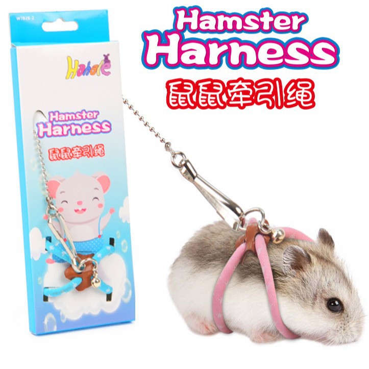 Cuerdas de tracción anti-moldura, cadena de pecho y espalda, cuerda redonda anti-perdida, cuerda de tracción de ratón, hámster, pequeña mascota para salir al aire