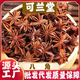 八角大料广西八角炖肉香料卤料调料代发批发