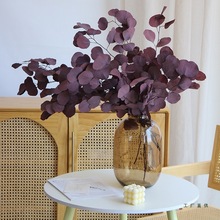 北欧进口苹果叶永生花干花花束树叶植物客厅橱窗装饰摆件天然真花