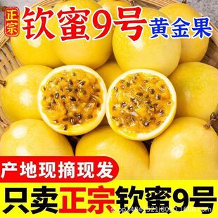 �V���J��9̖�S���������r�Sɫˮ����������������]-�����ۺ�