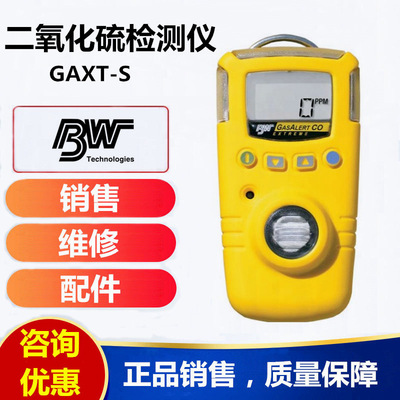 加拿大BW /Gaxt-S серы-детектор диоксида диоксида серы Gaxt-S-DL Dioxide-тестер тревога