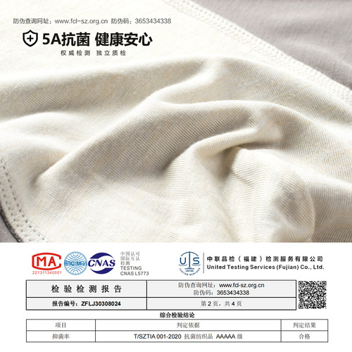 Zhejin Style 100-Piece Double-Sided Modal Men's Underwear, Silk-Antibacterial Breathable Men's Underwear, Seamless Men's Briefs Wholesale