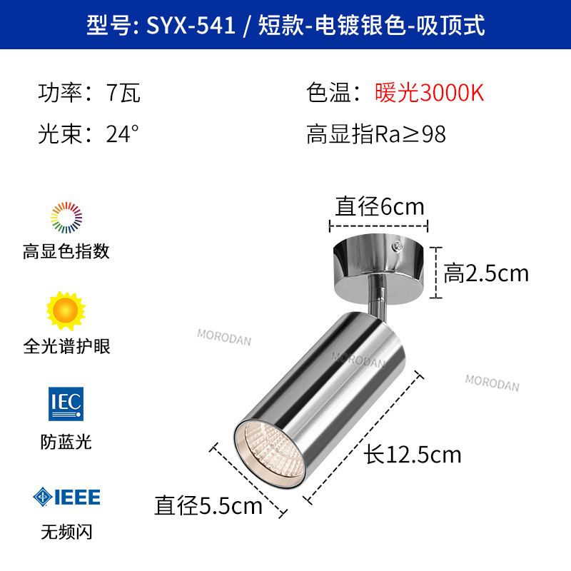 全光谱包豪斯风格不锈钢明装射灯中古客厅卧室玄关背景墙银色射灯|undefined