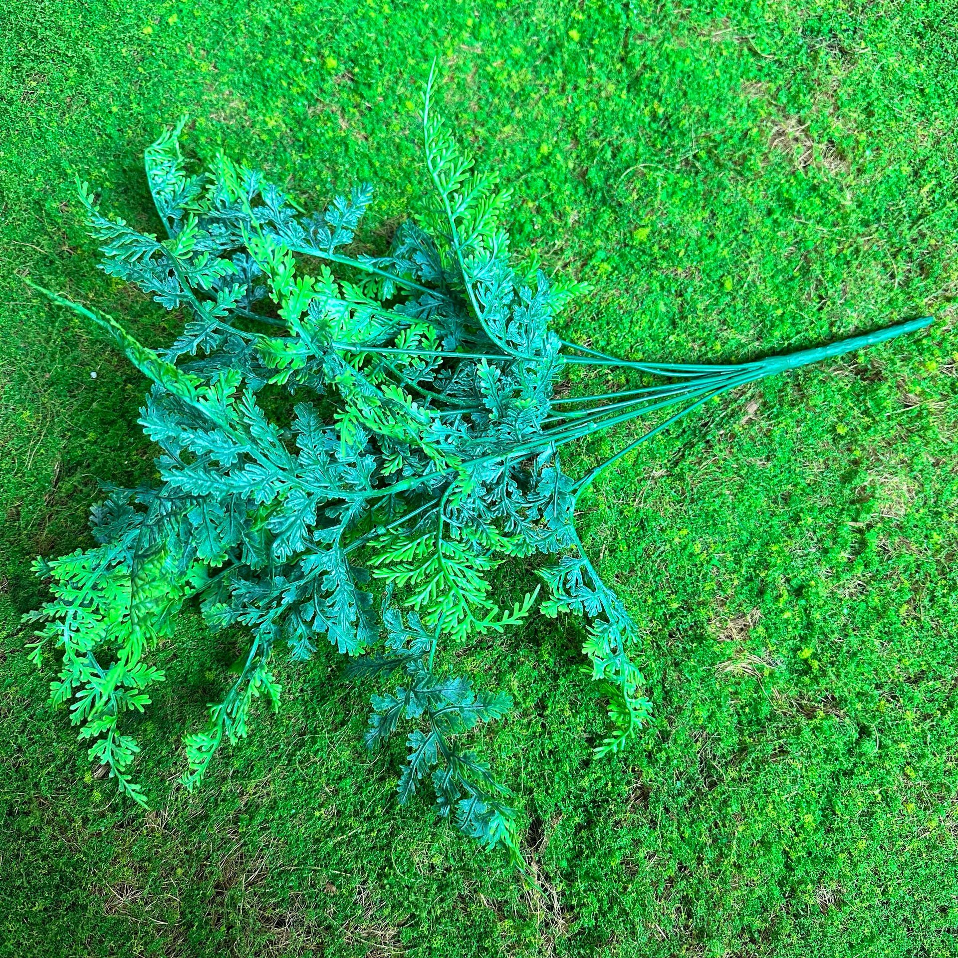 Fairy Cave tortuga hoja sentir arreglo floral hoja material planta esquina ventana belleza paisaje decoración artificial planta verde mango haz