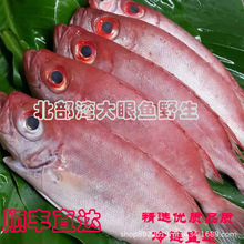 ������Ұ���tĿ��/�����u�~ ������r ���~ �ك��i�r �tĿ�[����