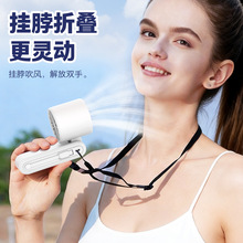 2026�羳�����ֳ�С���Ȱ뵼�����������۵�����������Է���