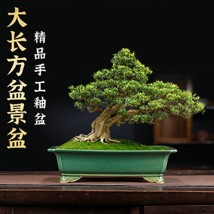 ���d��ɰ�����մ��L���δ�̖�辰���R�۶���Gֲ��������������Q