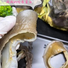 水鱼裙边甲鱼边海味干货滋补足干肉厚龟裙边酒店餐饮专供一件代发