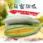 博洋9号甜瓜羊角蜜绿宝花蕾香瓜瓜甜瓜超甜脆瓜薄皮应季新鲜水果