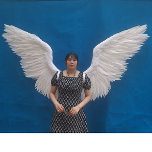 �S���㌑��Ӱ����ë��ʹ���W�t���b�����ֹ�ֱ�����