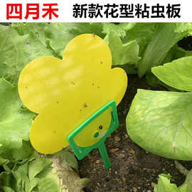 新款花型粘虫板花卉养花粘虫板黄色双面小花板粘虫板诱虫板厂家店