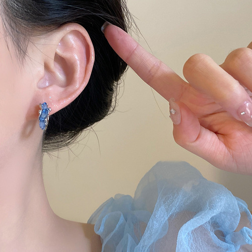 Light Luxury Niche Blue Crystal Earrings for Women, Instagram Trendy, Korean Minimalist, Versatile Stud Earrings, Fashion Accessory