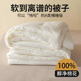 【棉花被】A类母婴级100新疆棉花被纯棉全棉被子春夏秋棉被空调被