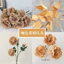 �̲�ɫ��ɫϵ��Y��ˇ�����b\��ɫĵ����¿�·����Y�ò���