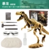 High quality and big bones-Tyrannosaurus