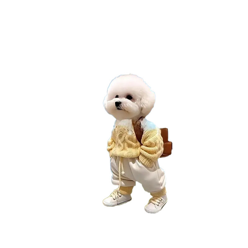 Cross-border nuevo creativo 2D lindos perros de peluche cachorro hombre mochila colgante acrílico colgante de automóvil