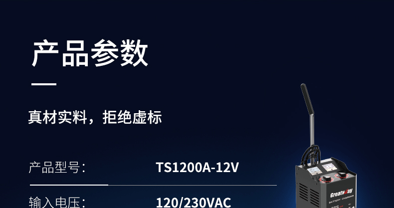 定制品-充电机-TS1200A-12V详情页_01.gif