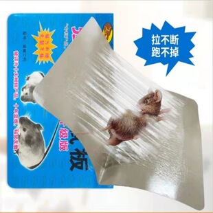 ����ճ��������̵곬����ճ���Խ����Խ��ճ���z���󹤾����l