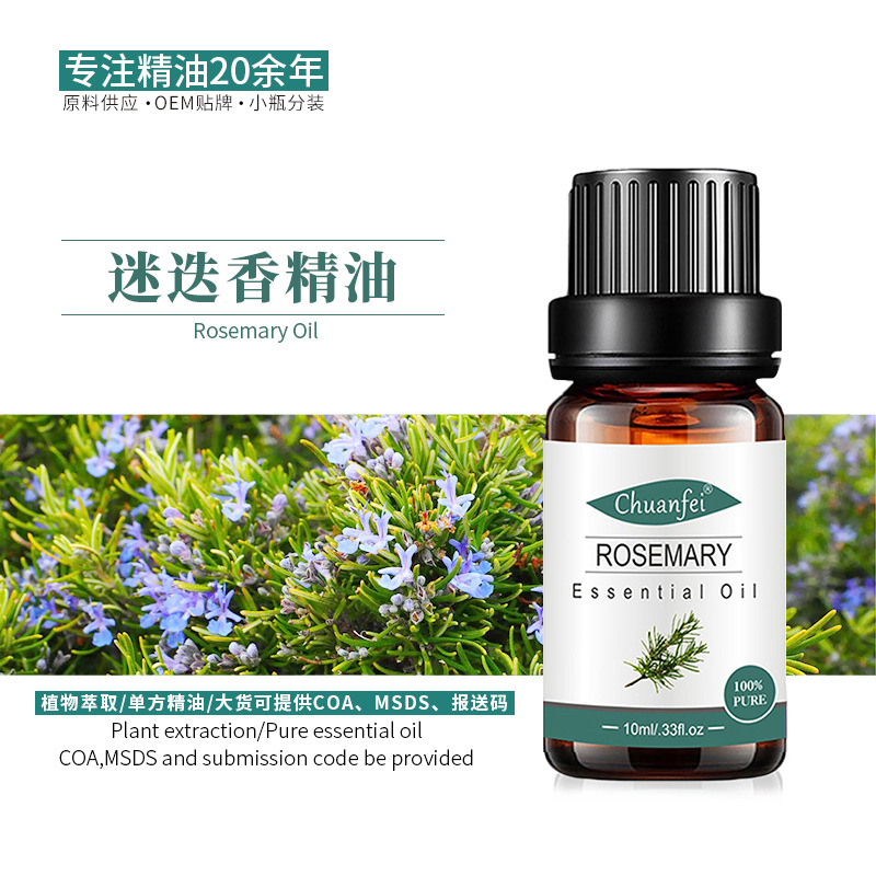 Verbenone rosemary essential oil plant unilateral aromatherapy essential oil raw materials wholesale 10ml 1 bottle batch O/EM