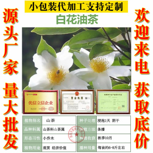 ڼtͲNͲNӰ׻ͲѴtͲNN