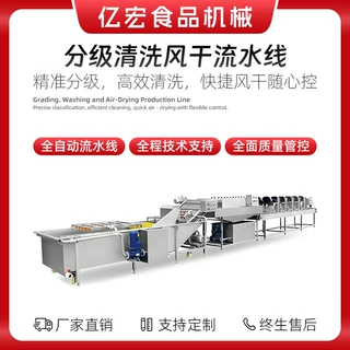 全自动大枣椰枣橄榄分级清洗风干流水线 大枣加工生产线 智能分级