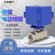 微型电动球阀 DN15 4分 不锈钢304 大扭矩 二通阀 耐腐蚀 执行器