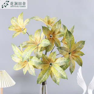 ����Gֲ �Z���~ ������~�辰�zӰ���߱��W�Ҿ�ܛ�b���̼٘��b�