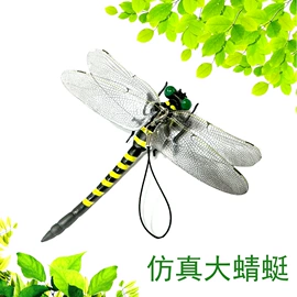 戏水玩具;棋牌/桌游;科教玩具