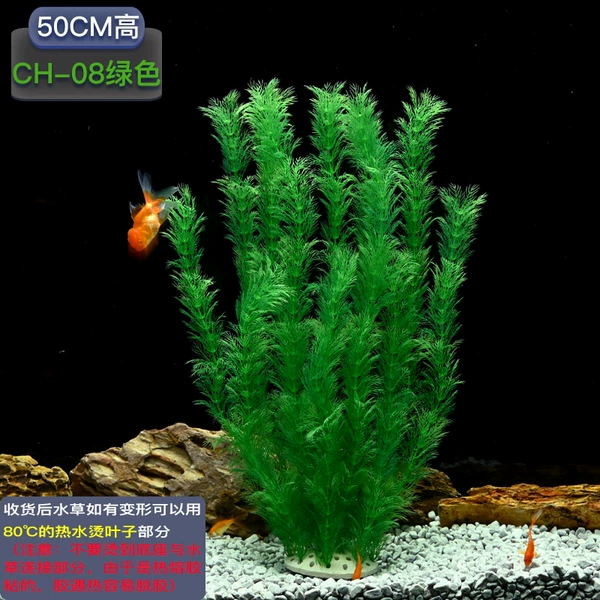 50cm high CH-08 [green]