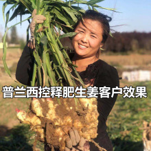 14-14-14�����͸����ȫ�؏ͺϷʴ��������ÿ�ጷʵ׷�׷�ʏS��