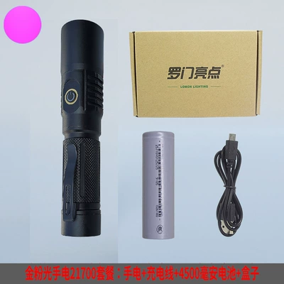 Purple and Green Light Flashlight for, UV fənərlər - 5050-gold-powder-light-set-including-4500-mah-21700-battery