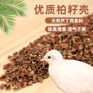 �J���u���Ӛ��l�ʹ��|�ϰ��њ������J���u�g��� �����B�䌣��