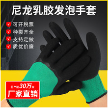 ���z�l������13������������l������ĥ͸����z���͹��؄ڱ�����